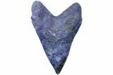 Realistic, Carved Sodalite Megalodon Tooth - Replica #202084-1